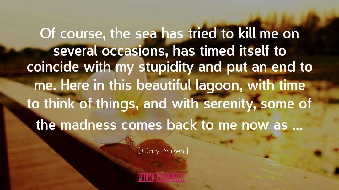 Lagoon quotes by Gary Paulsen