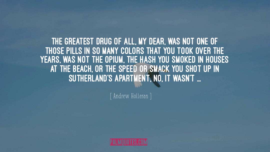 Lagouvardos Beach quotes by Andrew Holleran