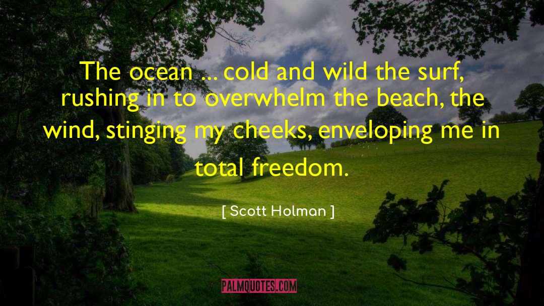 Lagouvardos Beach quotes by Scott Holman