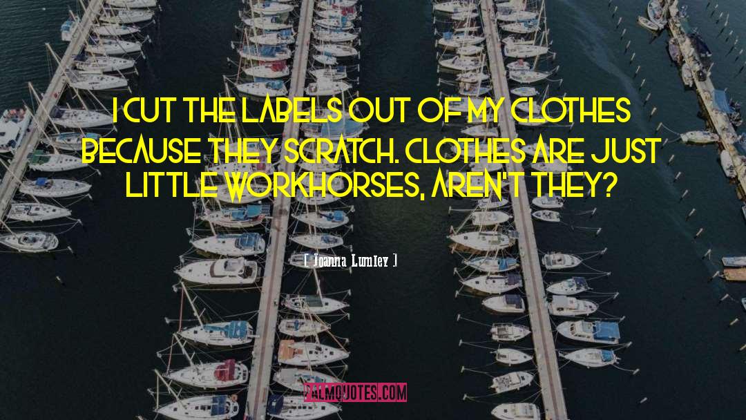 Laguerta Clothes quotes by Joanna Lumley