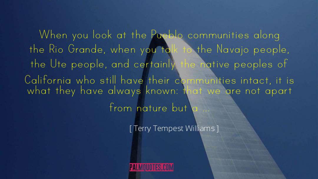 Laguna Pueblo quotes by Terry Tempest Williams