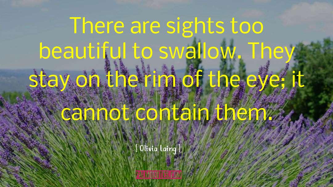 Lahaye Eye quotes by Olivia Laing