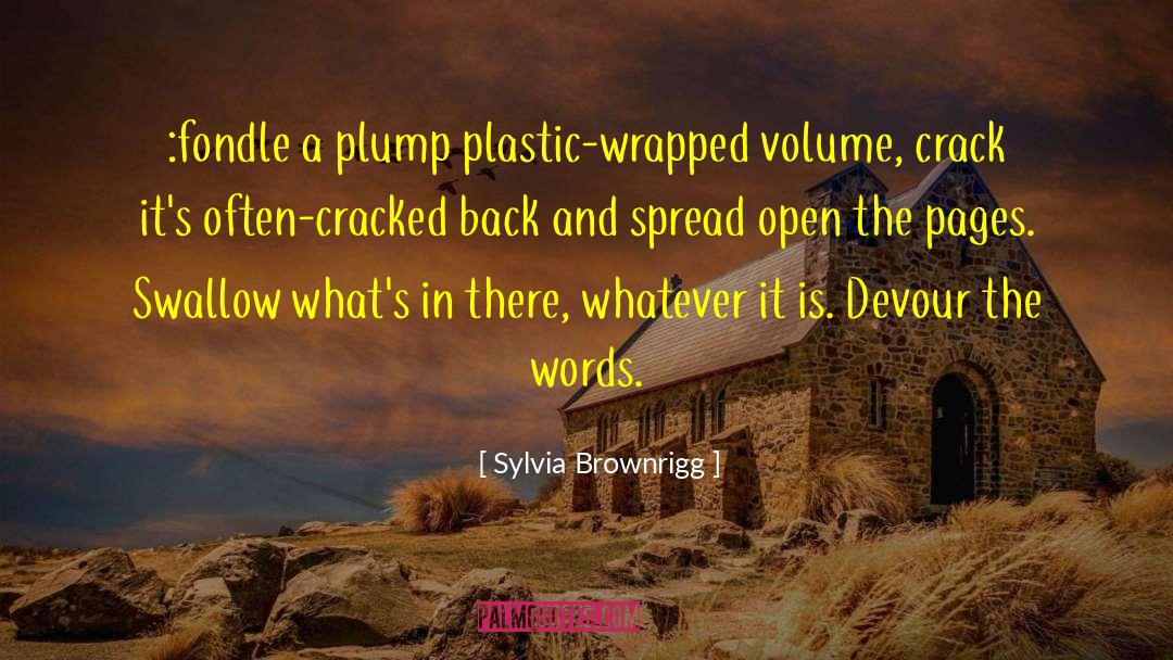 Laides In Plastic Pantes quotes by Sylvia Brownrigg