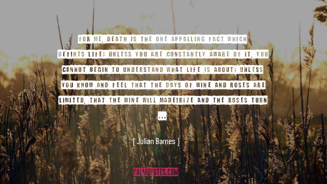 Laing Turn You One quotes by Julian Barnes