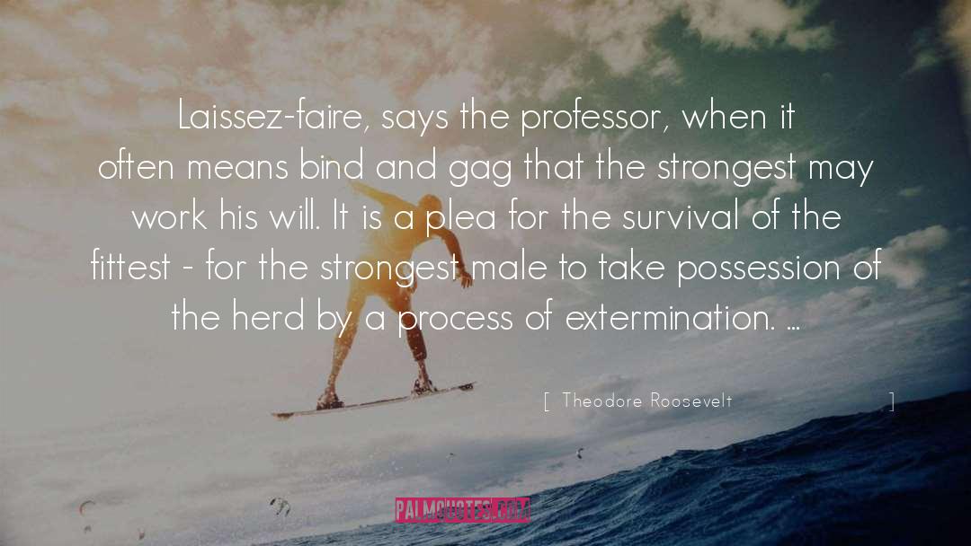 Laissez Faire quotes by Theodore Roosevelt
