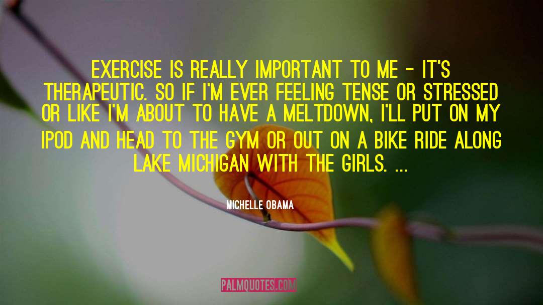 Lake Michigan quotes by Michelle Obama