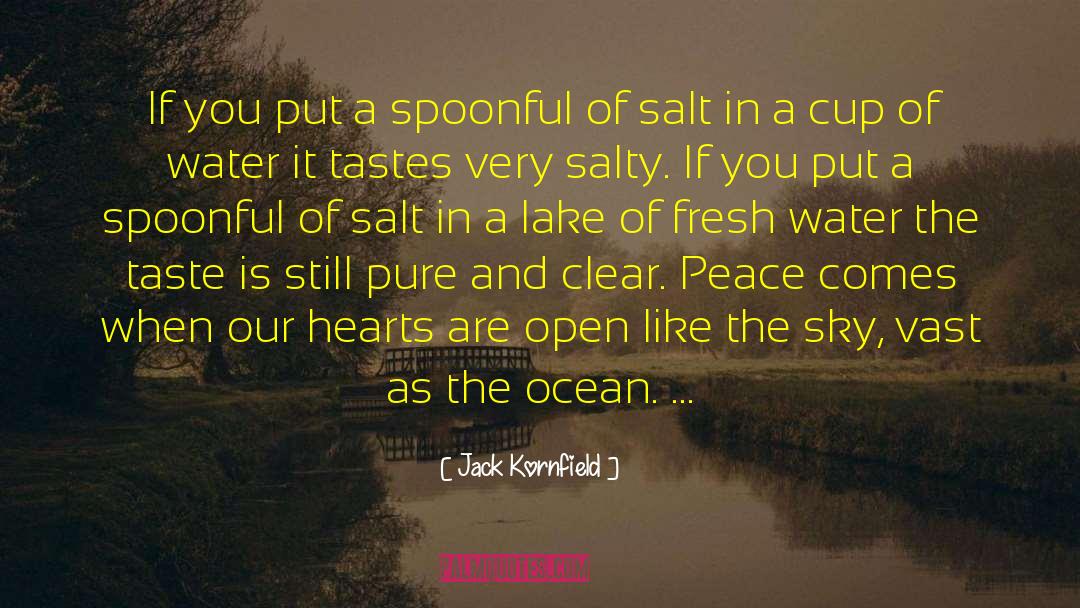 Lake Michigan quotes by Jack Kornfield