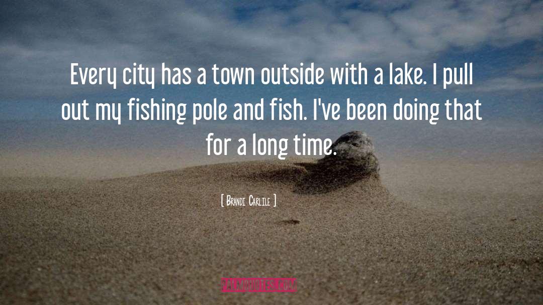 Lake Michigan quotes by Brandi Carlile