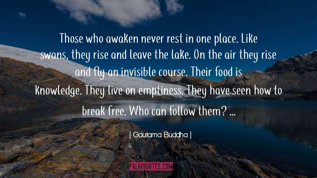 Lake Powell quotes by Gautama Buddha