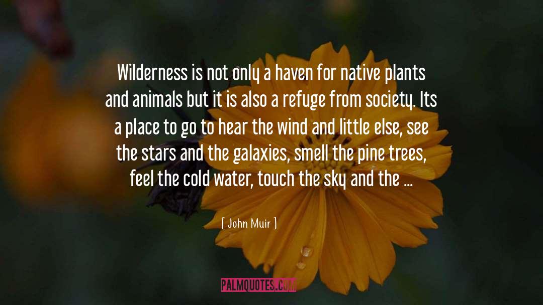 Lake Water quotes by John Muir