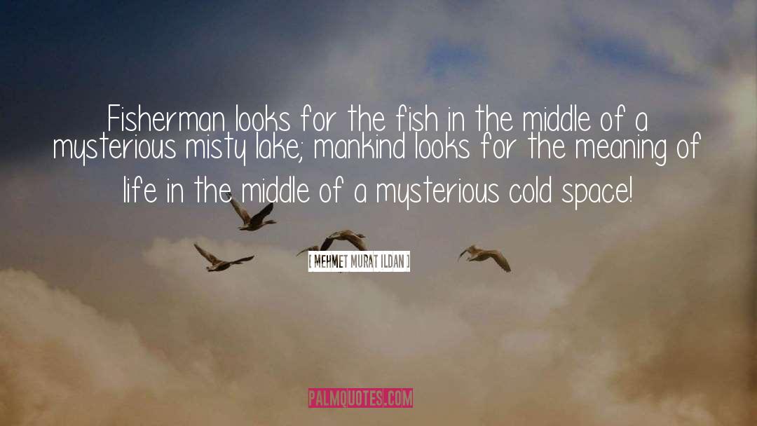 Lake Wobegon quotes by Mehmet Murat Ildan