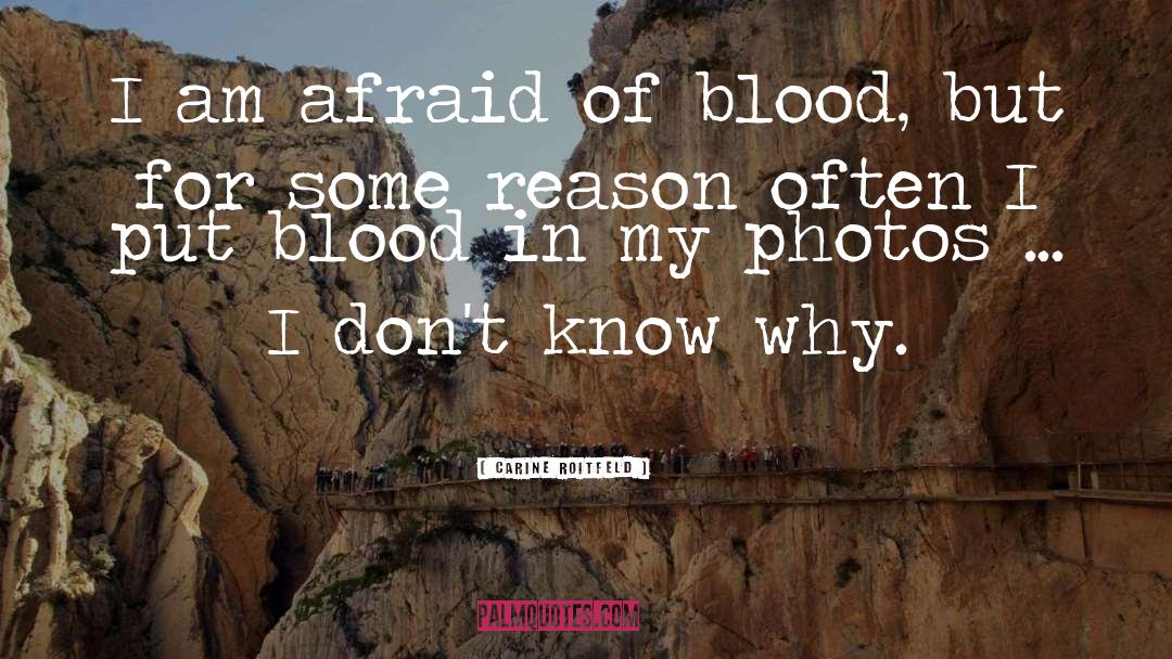 Lakes Of Blood quotes by Carine Roitfeld