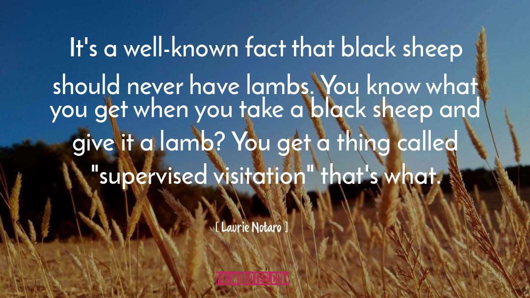 Lamb quotes by Laurie Notaro