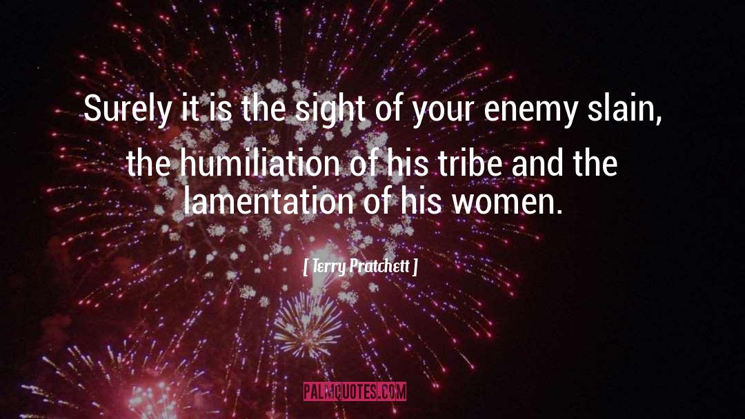 Lamentation quotes by Terry Pratchett