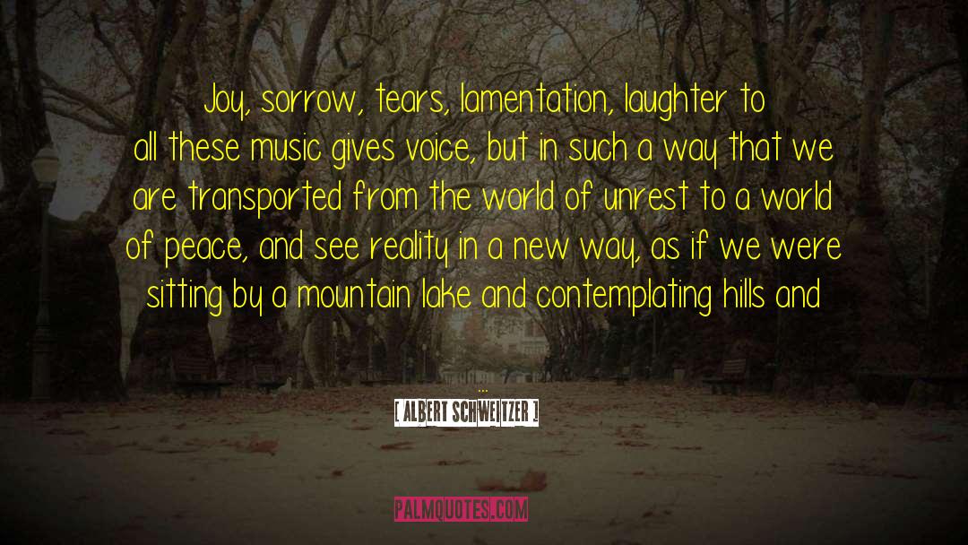 Lamentation quotes by Albert Schweitzer