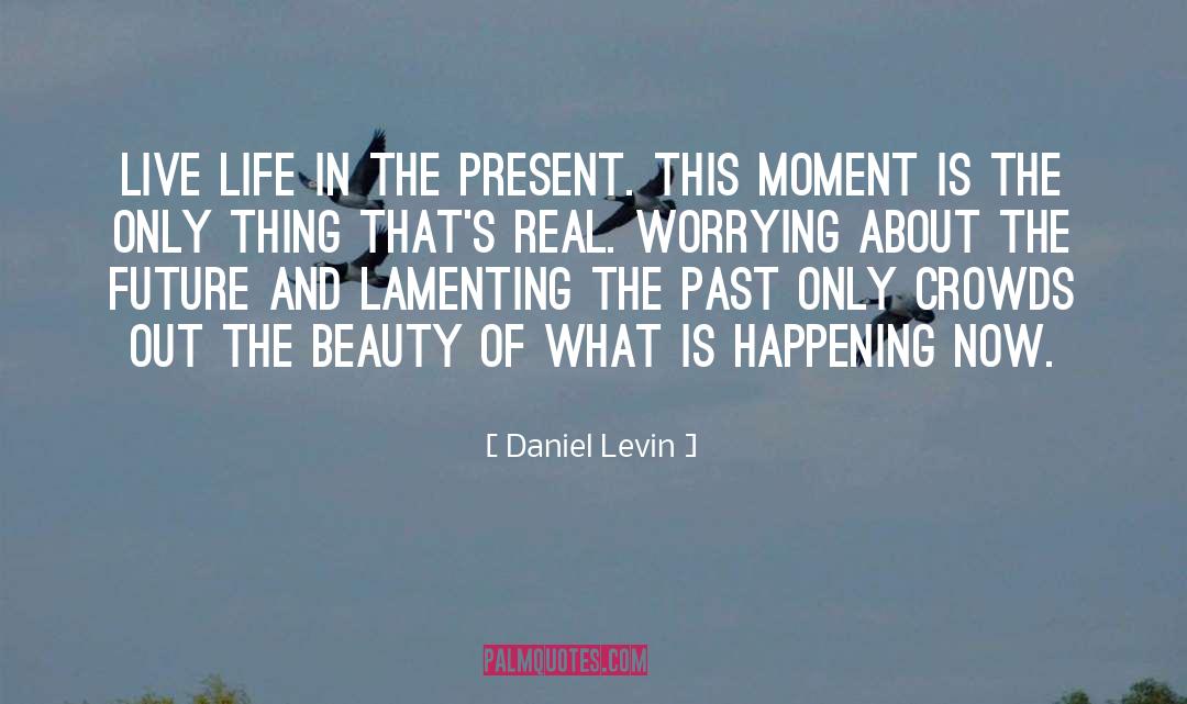 Lamenting quotes by Daniel Levin