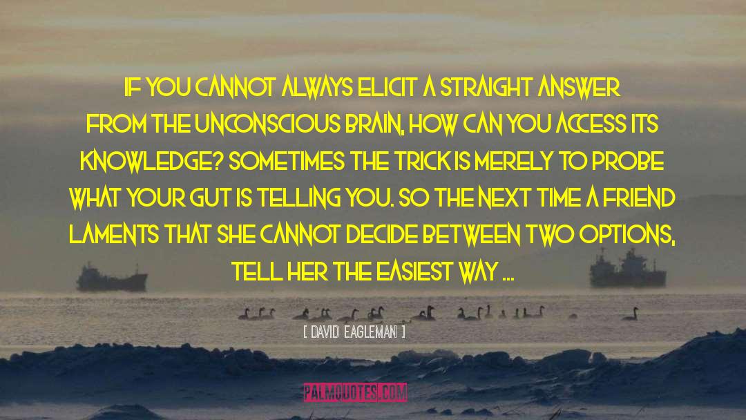Laments quotes by David Eagleman