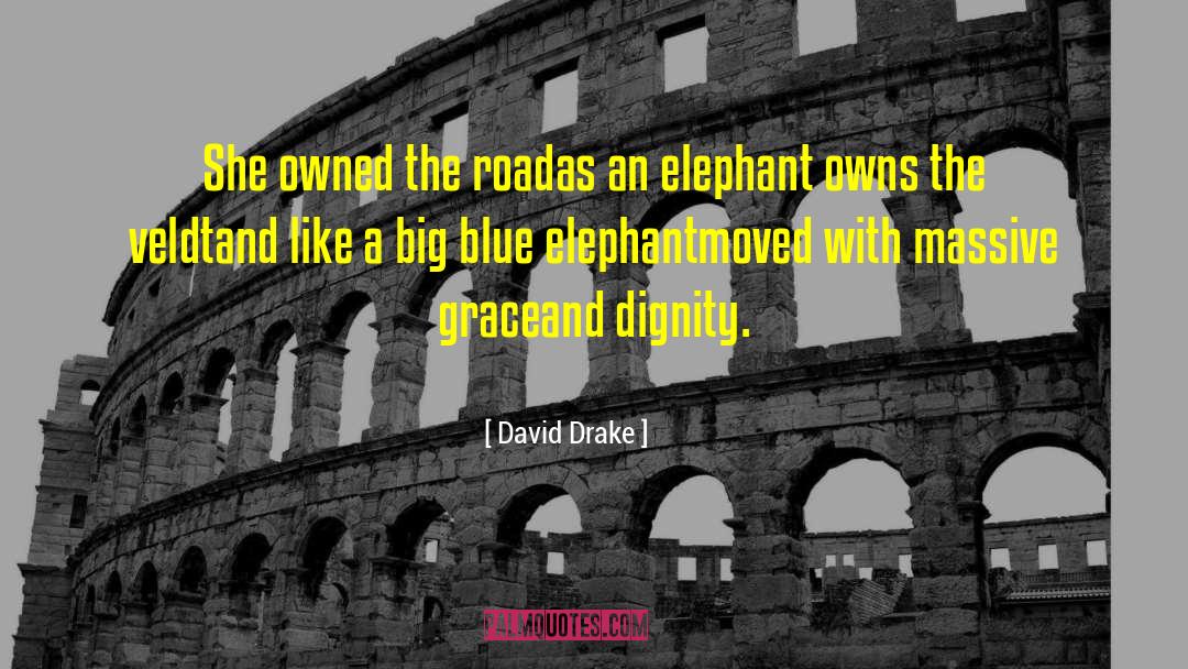 Lammie The Elephant quotes by David Drake