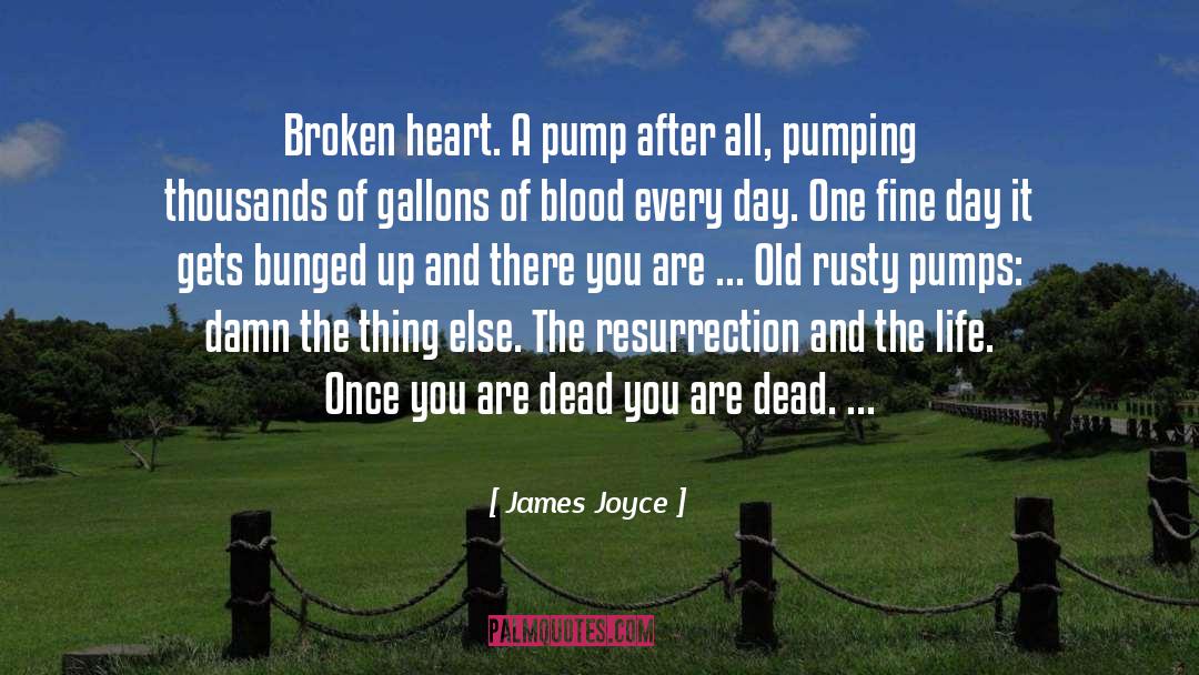 Lamoureux Pumping quotes by James Joyce