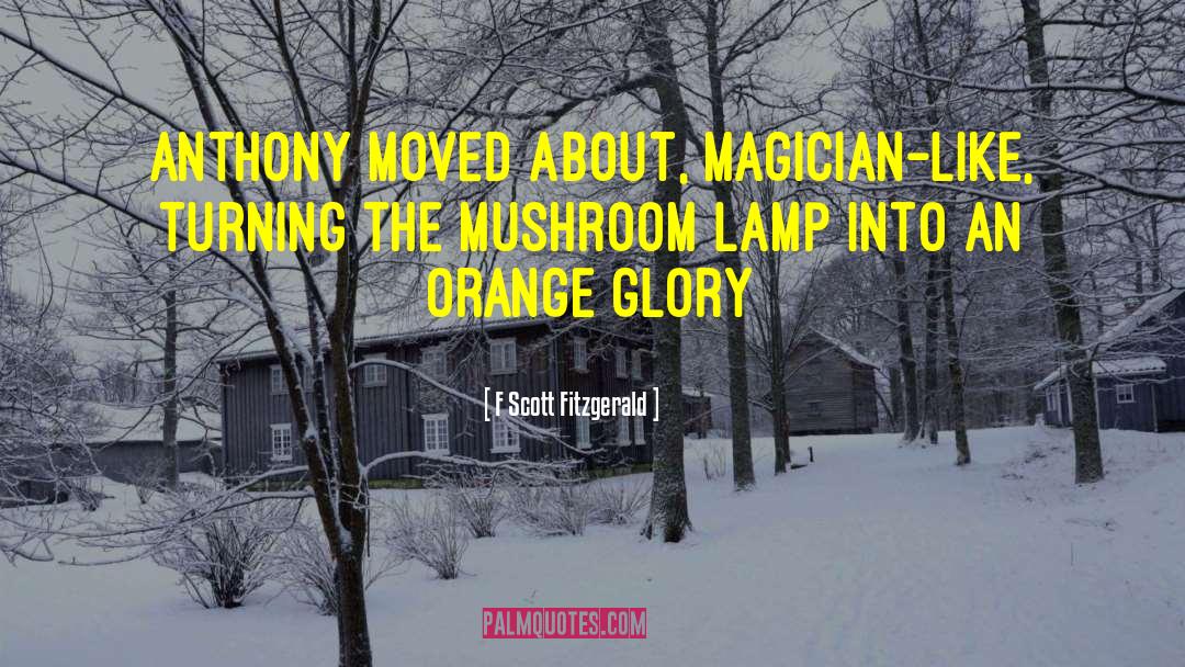 Lamp quotes by F Scott Fitzgerald