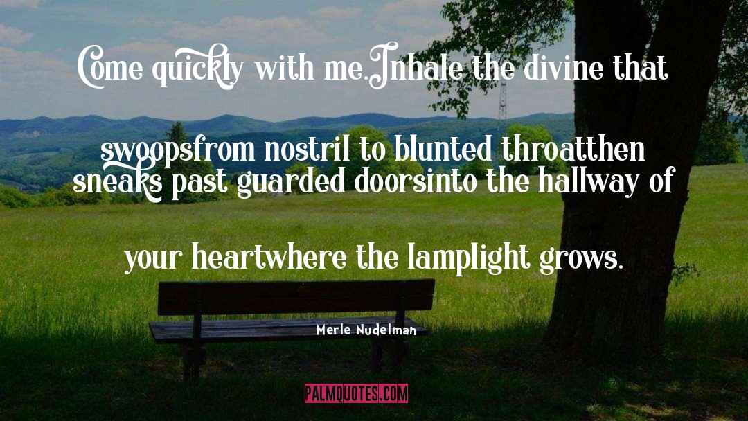 Lamplight quotes by Merle Nudelman