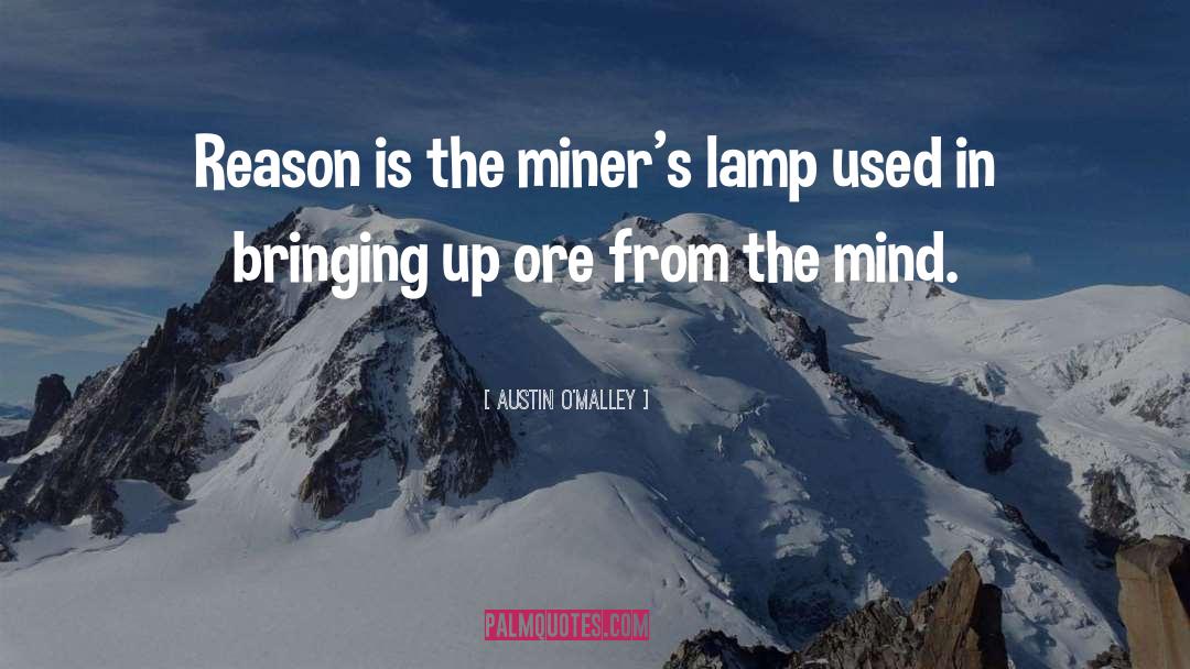 Lamps quotes by Austin O'Malley