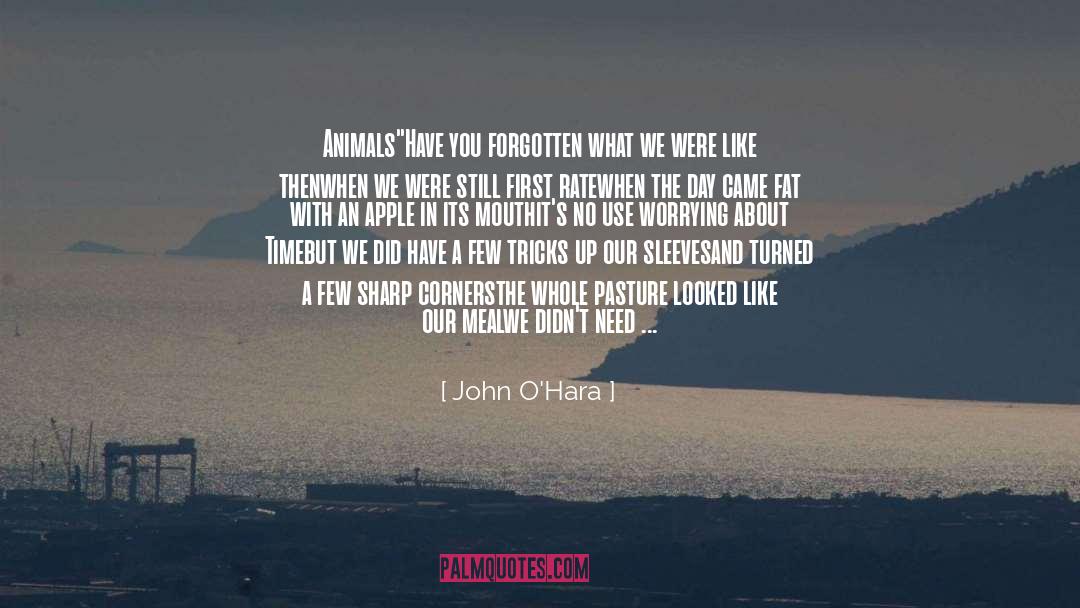 Land And Water quotes by John O'Hara