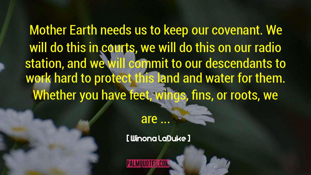 Land And Water quotes by Winona LaDuke