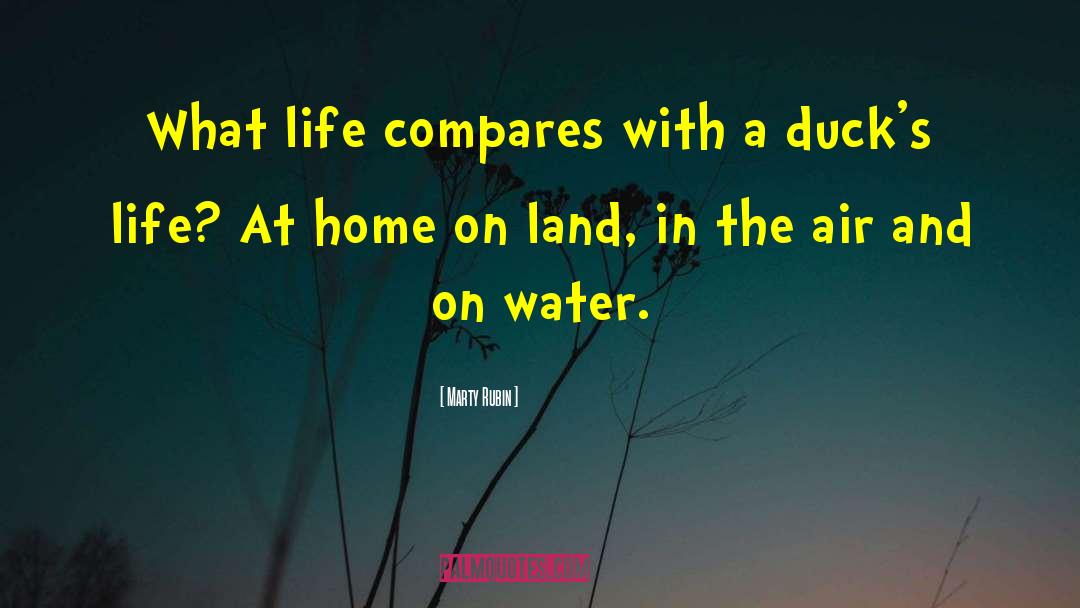 Land In quotes by Marty Rubin