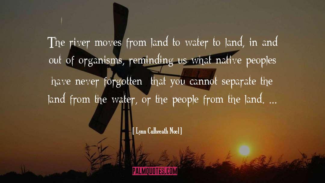 Land In quotes by Lynn Culbreath Noel