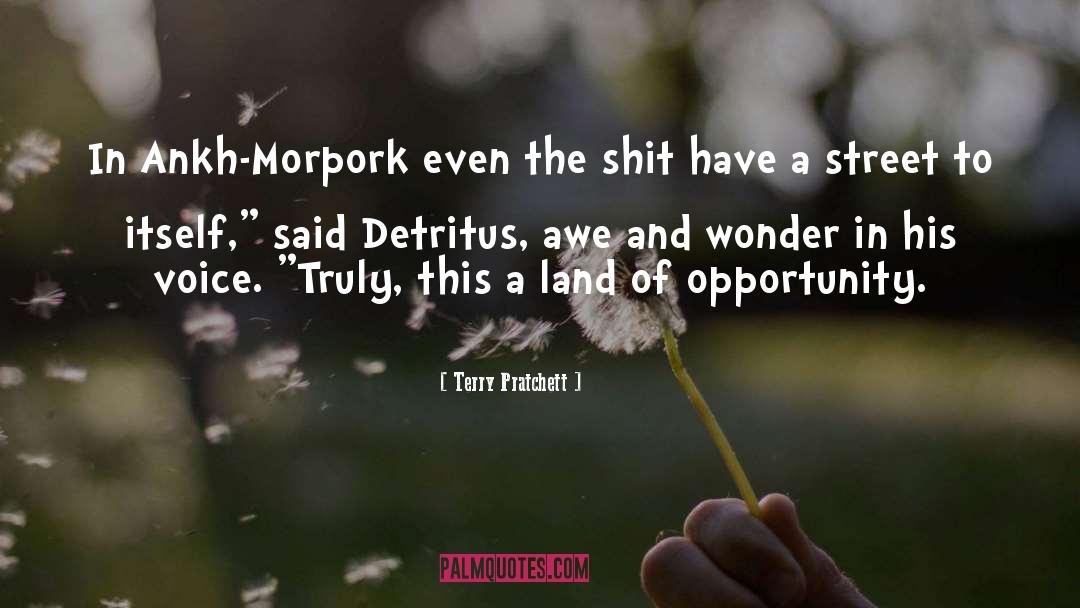 Land Of Opportunity quotes by Terry Pratchett
