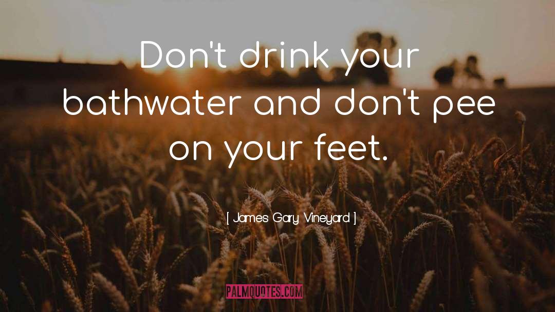 Land On Your Feet quotes by James Gary Vineyard