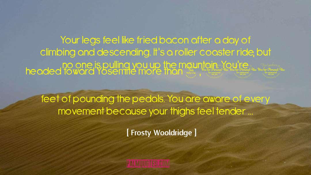 Land On Your Feet quotes by Frosty Wooldridge
