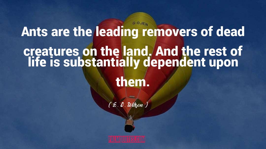 Land Reforms quotes by E. O. Wilson