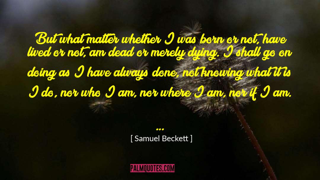 Land Where I Was Born quotes by Samuel Beckett