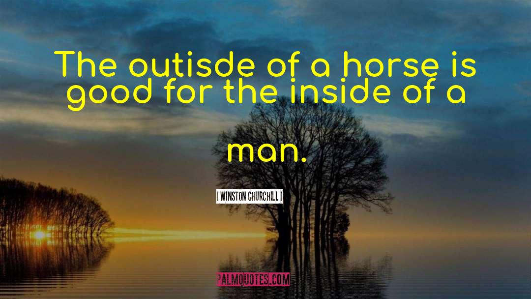 Landeskog Horse quotes by Winston Churchill