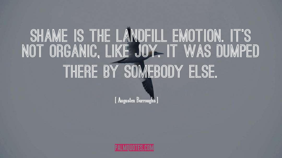 Landfill quotes by Augusten Burroughs