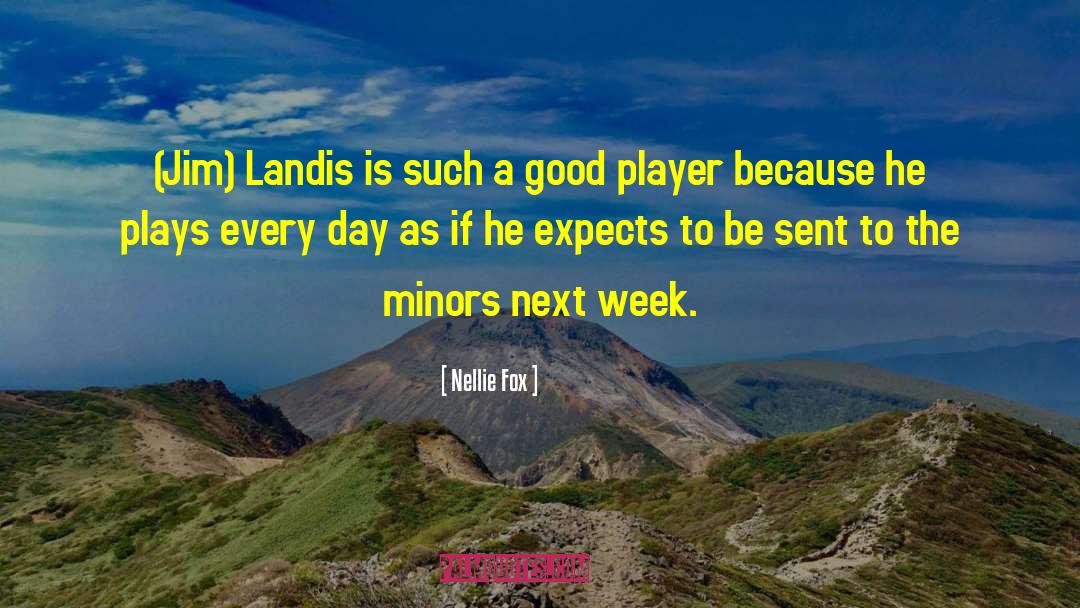 Landi quotes by Nellie Fox