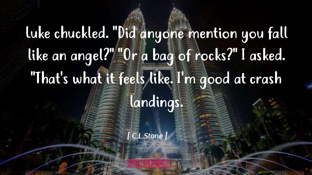 Landings quotes by C.L.Stone