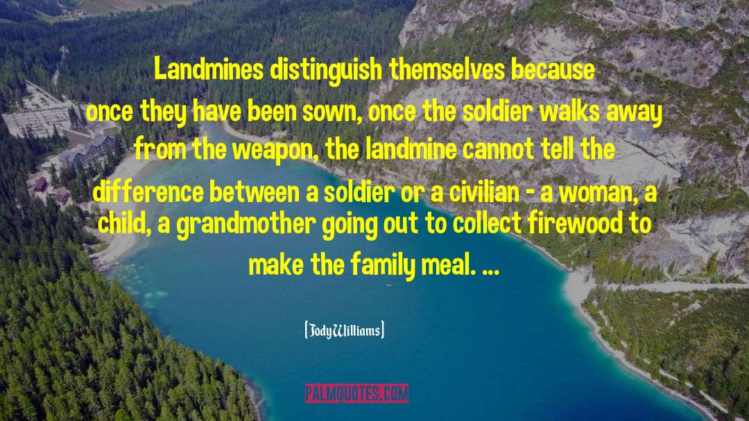 Landmines quotes by Jody Williams