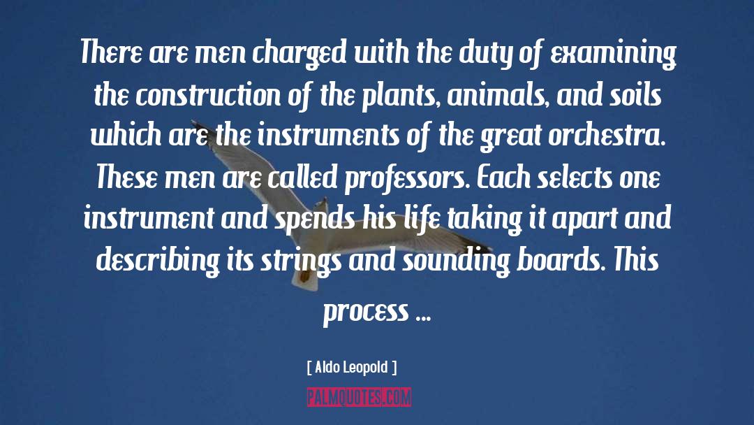 Landron Construction quotes by Aldo Leopold