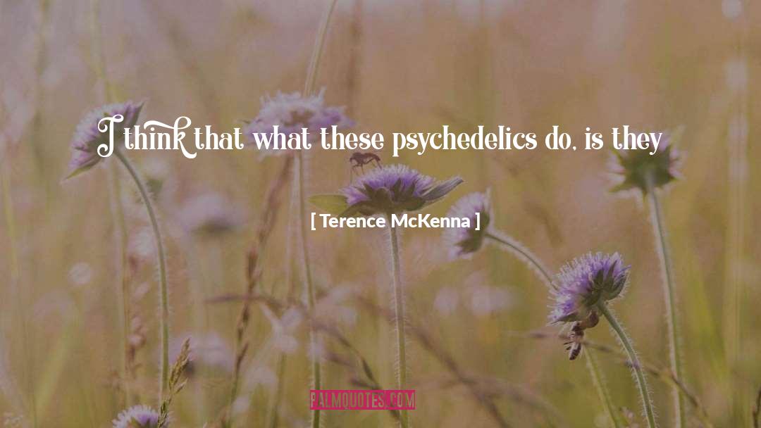 Landscape Architecture quotes by Terence McKenna