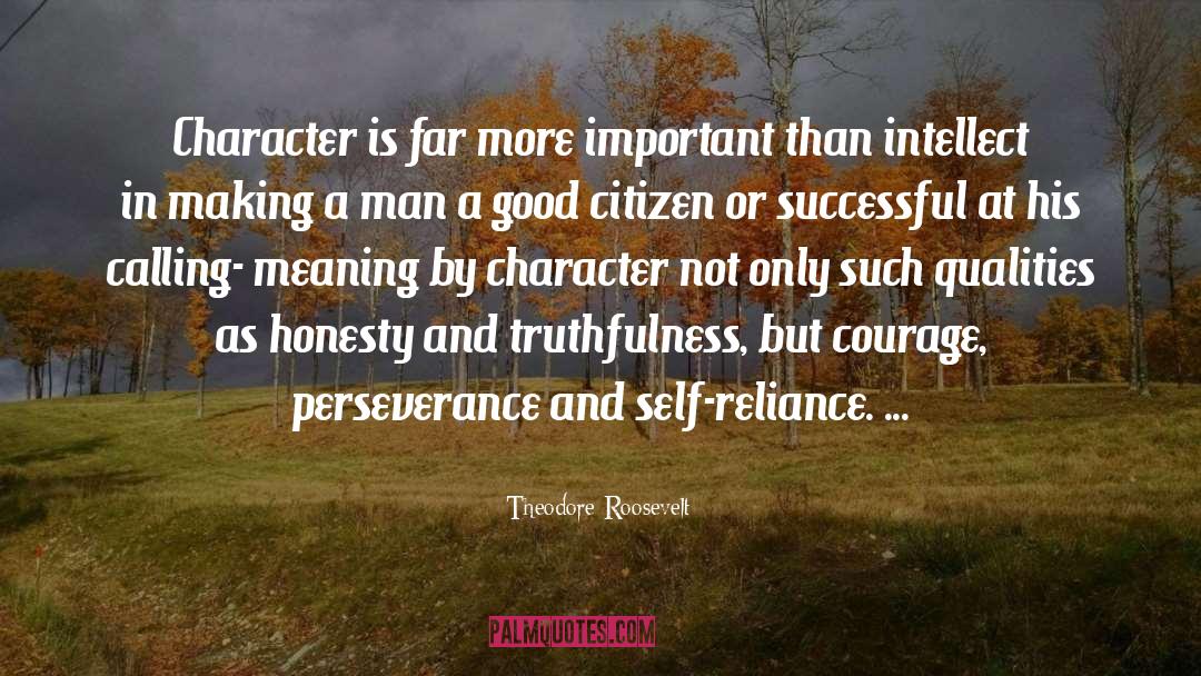 Landscape As Character quotes by Theodore Roosevelt
