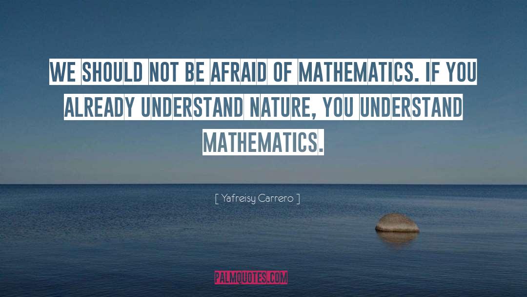 Landscape Mathematics quotes by Yafreisy Carrero