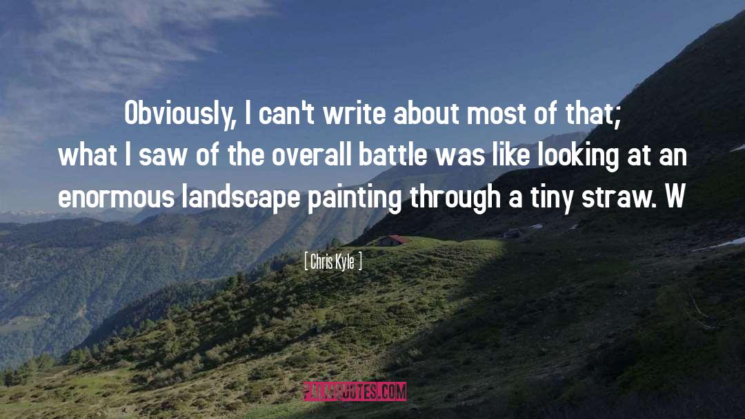 Landscape Painting quotes by Chris Kyle