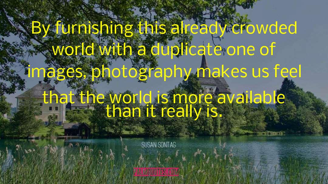 Landscape Photography quotes by Susan Sontag