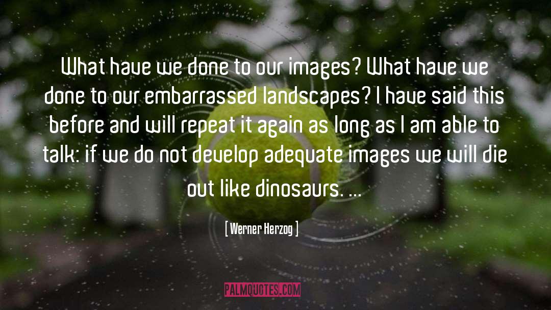 Landscapes quotes by Werner Herzog
