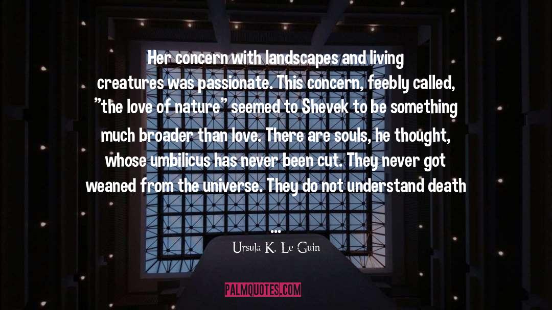 Landscapes quotes by Ursula K. Le Guin