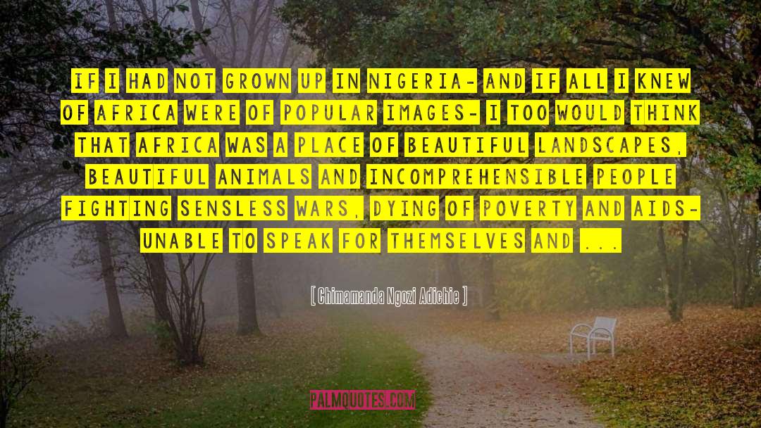 Landscapes quotes by Chimamanda Ngozi Adichie