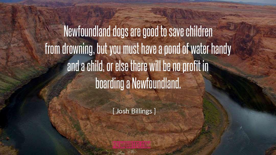 Landseer Newfoundland quotes by Josh Billings